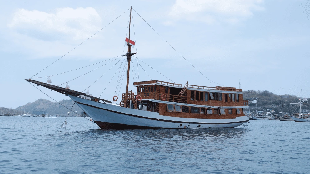 Aimar Cruise